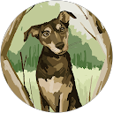 Kimaya Kulkarni profile picture